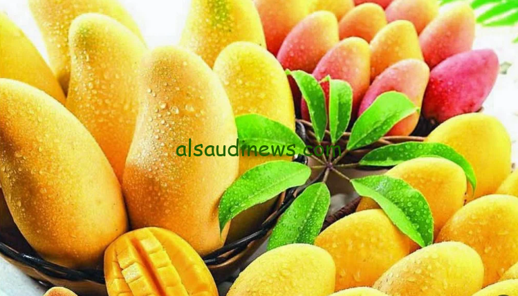 العويسي بكــام.. أسعار المانجو اليوم الأربعاء 21 أغسطس 2024 في الأسواق