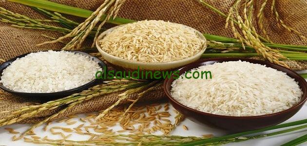 الحبة العريضة والرفيعة.. كم سعر طن الأرز الشعير اليوم الأحد 25 أغسطس 2025 في الأسواق