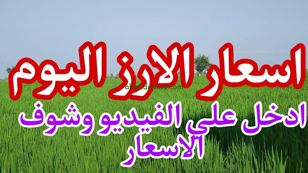 بكام كيلو الرز ؟ .. سعر طن الأرز الشعير اليوم الاحد 11 اغسطس 2024 للمستهلك في الاسواق
