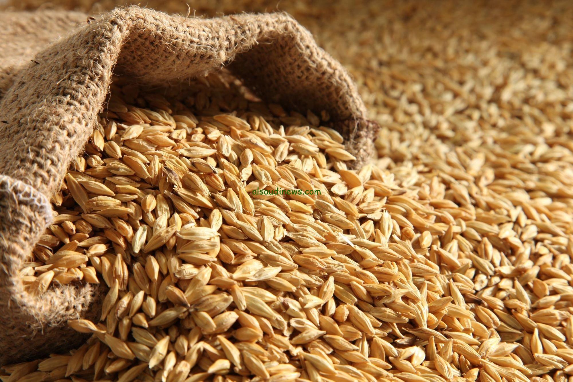 بكام الرز النهاردة.. سعر طن الأرز الشعير اليوم فى جميع الاسواق والمحلات التجارية
