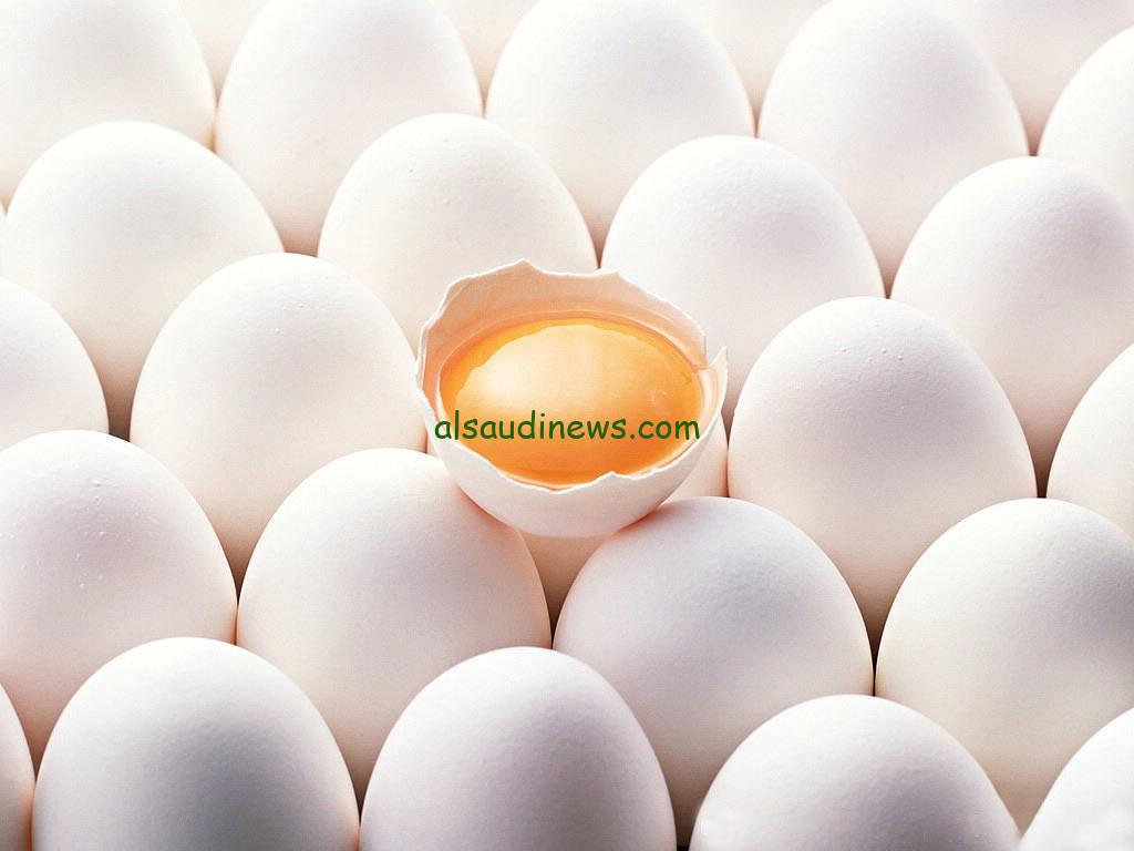 البورصة مُستقرة .. سعر كرتونة البيض اليوم للمستهلك الخميس 29 / 8 / 2024 في الأسواق ( الأبيض – البلدي – الأحمر )