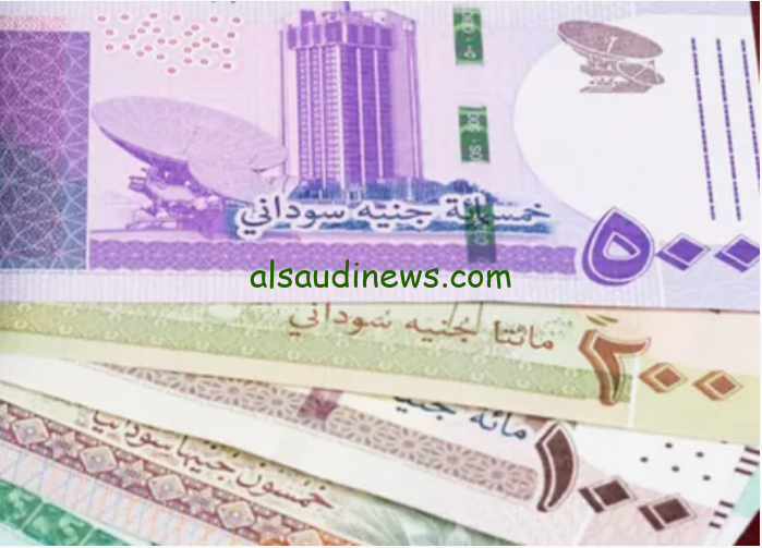 8000 جنيه سوداني بكام مصري… سعر الجنية السوداني اليوم الاربعاء 28-8-2024 مقابل الجنيه المصري والعملات الأجنبية