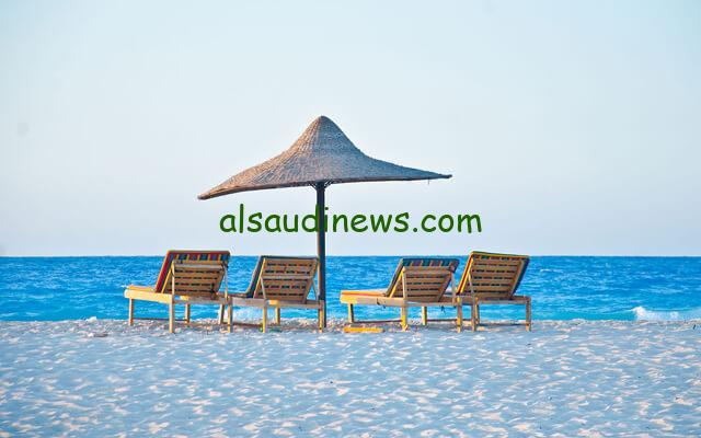 قرار جديد من النيابة.. من هي الراقصة سلطانة ويكيبيديا؟ التفاصيل الكاملة حول قصة الساحل الشمالي
