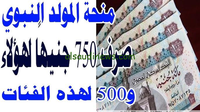 مفاجأة من الحكومة.. الفئات التي تحصل علي منحة المولد النبوي الشريف 2024-1446