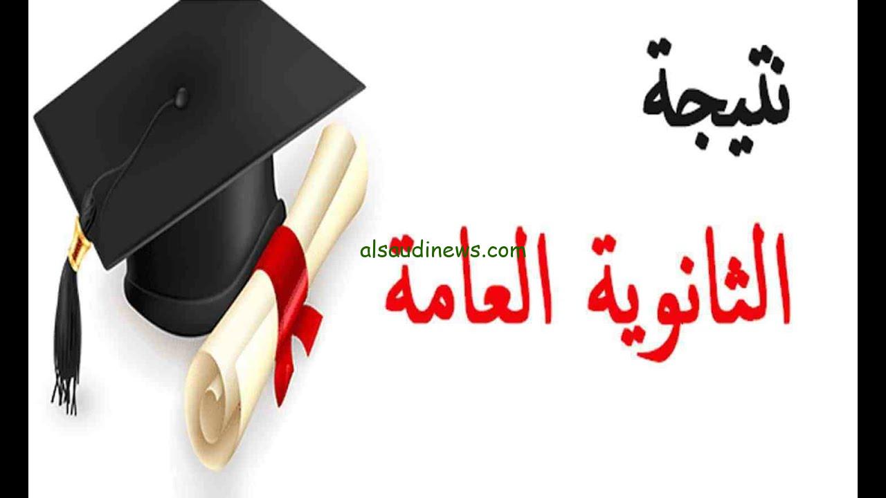 اعرف نتيجتك… موقع الدستور نتيجة الثانوية العامة 2024 برقم الجلوس natega.dostor.org