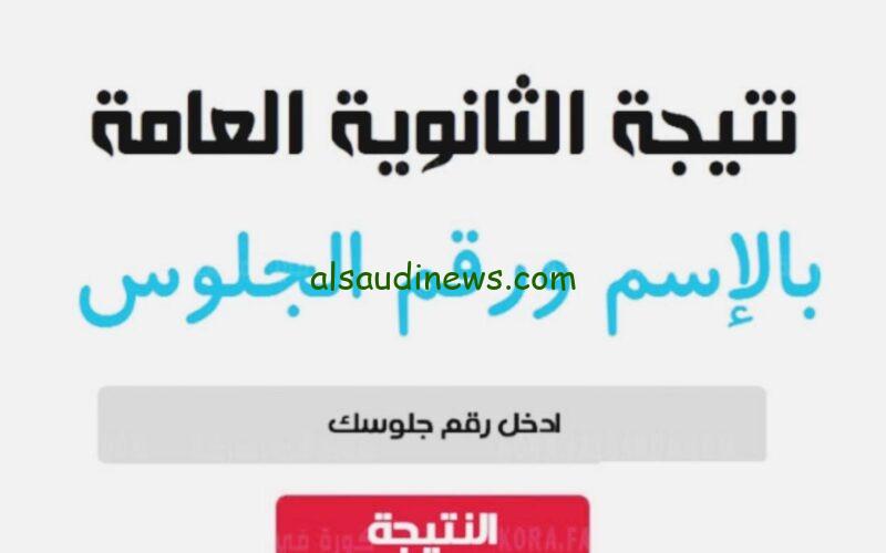 اعرفها بالاسم ناو excel النتيجة.. رابط الاستعلام عن نتيجة الثانوية العامة 2024 بالاسم ورقم الجلوس الدور الاول موقع نتيجة نت
