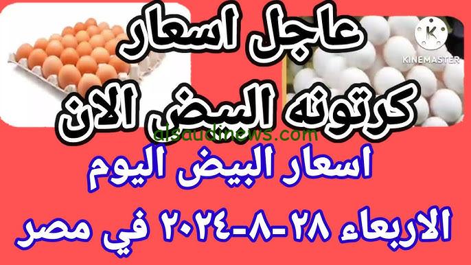 “بشرى ساره” وزارة الزراعة تعلن سعر كرتونة البيض بـ 130ج مع تخفيضات مميزة علي كيلو الفراخ