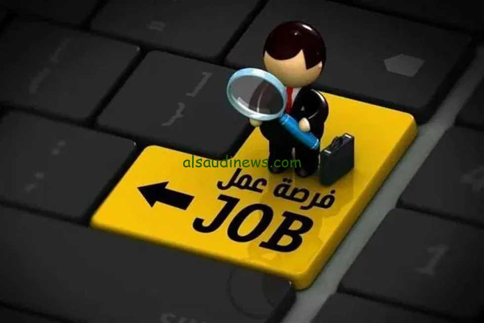 التقديم علي تعيينات وزارة الشباب والرياضة 2024 الشروط المطلوبة والمميزات