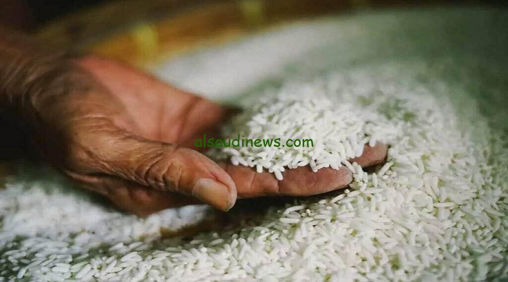 ” رفع تاني ” سعر طن الأرز الشعير اليوم الجمعة 20 سبتمبر 2024 في الأسواق التجارية وفقا لأخر التحديثات