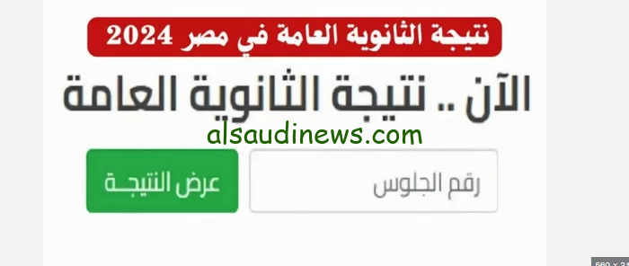 رابط موقع شبابيك نتيجة ملاحق الثانوية العامة 2024 وخطوات الحصول عليها بالاسم ورقم الجلوس