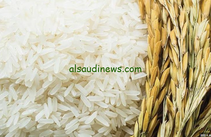 كسر 3% وصل كام … سعر طن الأرز الشعير اليوم السبت 21 سبتمبر 2024 في الاسواق