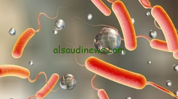المتحدث باسم وزاره الصحة … حقيقة وجود وباء الكوليرا في أسوان 2024 وما هي أعراضه المرضية