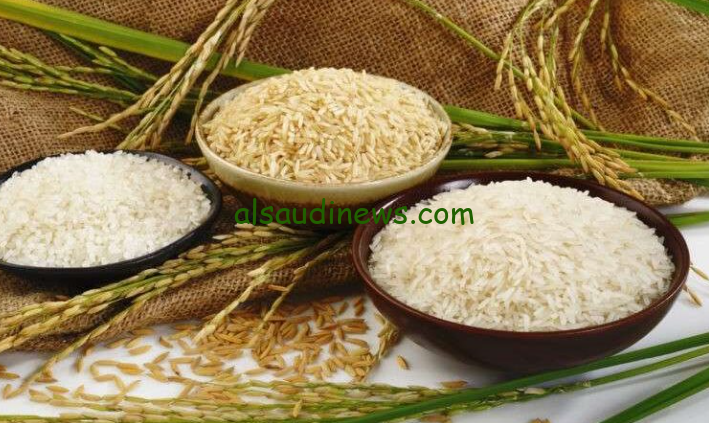 كم سعر الأرز الشعير الطن؟ سعر طن الأرز الشعير اليوم الثلاثاء 3 سبتمبر 2024 في جميع الأسواق المصرية