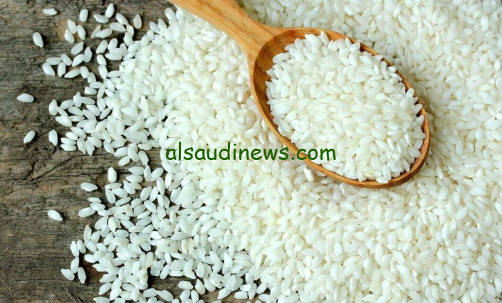 الحبة العريضة بكام … سعر طن الأرز الشعير اليوم الخميس 26 سبتمبر 2024 في الاسواق