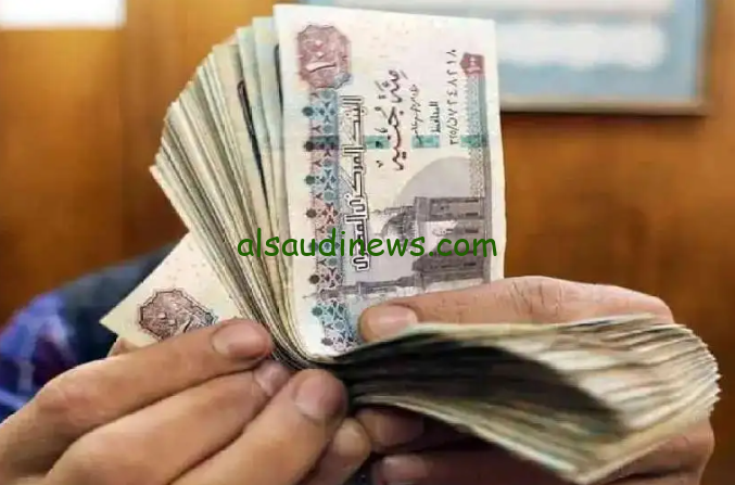 بشري سارة … حقيقة زيادة مرتبات شهر اكتوبر 2024 طبقا لقرار وزاره المالية المصرية