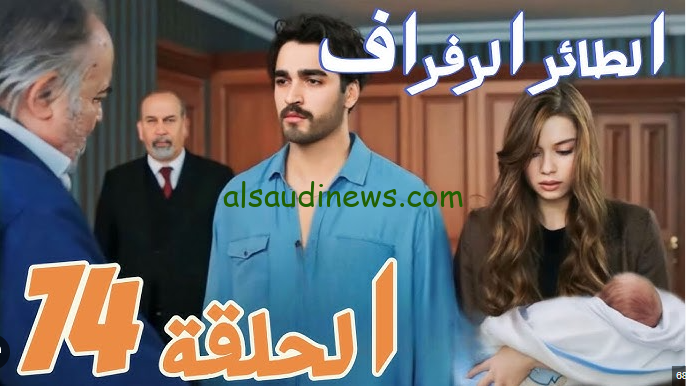 اعلان مسلسل طائر الرفراف الحلقة 74 Dailymotion الموسم الثالث 2024 والقنوات الناقلة