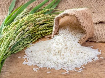 كم سعر الأرز الرفيع؟.. سعر طن الأرز الشعير اليوم الأربعاء 11/9/2024 وفقا لأخر تحديثات في الأسواق