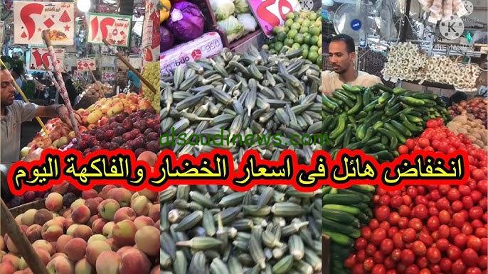 ” الطماطم تتراجع إلى 24 جنيها للكيلو ” أسعار الخضروات والفاكهة اليوم الاحد 29 سبتمبر 2024 للمستهلك