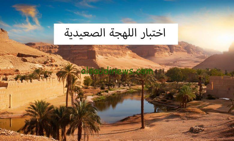 اعرف انت صعيدي بدرجة كام … لينك اختبار اللهجة الصعيدية 2024 كلت الدوكش قبل كدا ولا لا