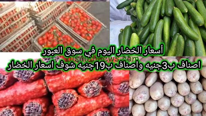 ” بكام كيلو الخيار ” جدول اسعار الخضروات اليوم السبت 7 سبتمبر 2024 في سوق العبور والجملة