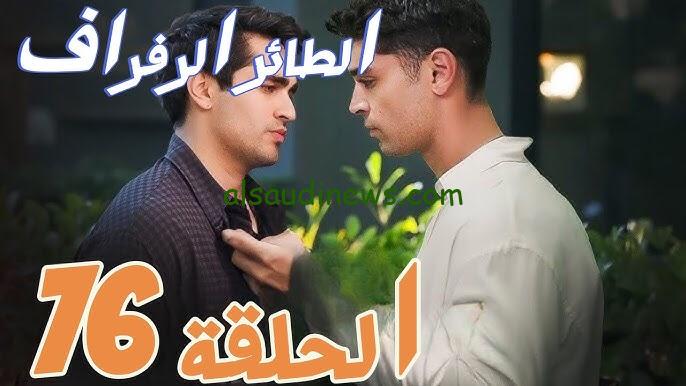 البرومو 1 شيق للغاية .. اعلان مسلسل طائر الرفراف الموسم الثالث الحلقة 76 والقنوات الناقلة للمسلسل