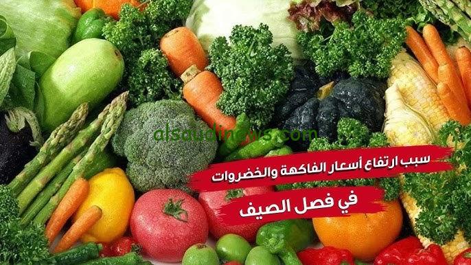 الطماطم بكام .. اسعار الطماطم اليوم الاثنين 9 سبتمبر 2024 وسعر الخضروات والفاكهة في الاسواق