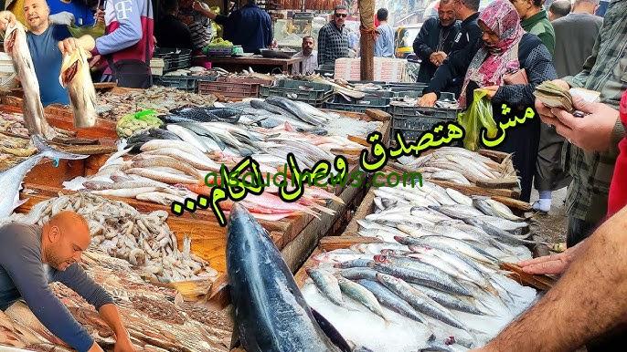 البلطي بكام النهاردة ؟..أسعار السمك اليوم الخميس 26 سبتمبر 2024 في الأسواق المصرية