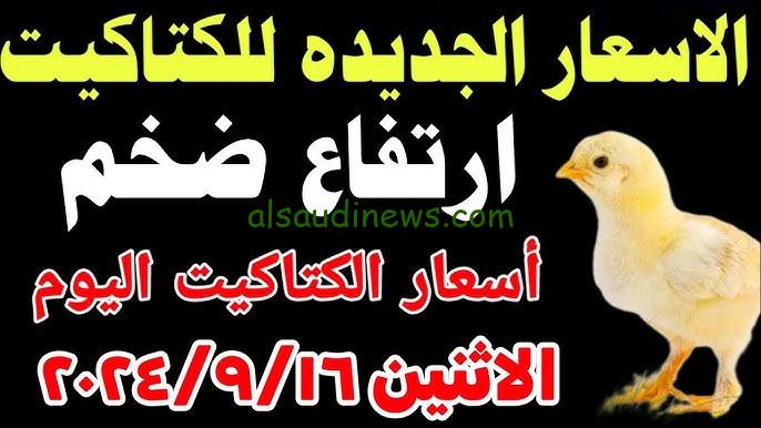 اشتري قبل الشتاء.. اسعار بورصة الدواجن الكتاكيت البيضاء اليوم الثلاثاء 17 سبتمبر 2024