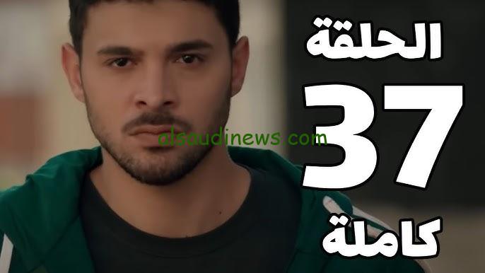 ” عاد لينتقم ” مسلسل المتوحش الحلقة 37 قصة عشق علي قناة الفجر الجزائرية و MBC 1