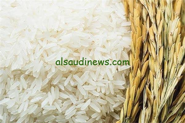 الحبة الرفيعة والعريضة .. بكام سعر طن الأرز الشعير اليوم الاثنين 16 سبتمبر 2024 في مصر