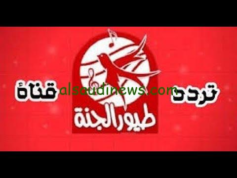 حميدو الولد الشقي.. تردد قناة طيور الجنة 2024 على نايل سات 24 ساعة من المرح والسعادة