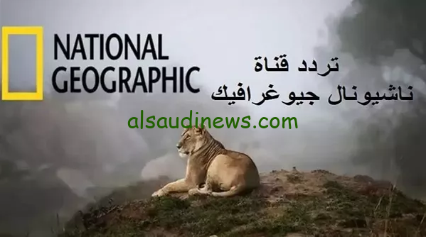 تعرف علي خطوات تنزيل تردد قناة ناشيونال جيوغرافيك 2024 National Geographic علي جهاز الاستقبال