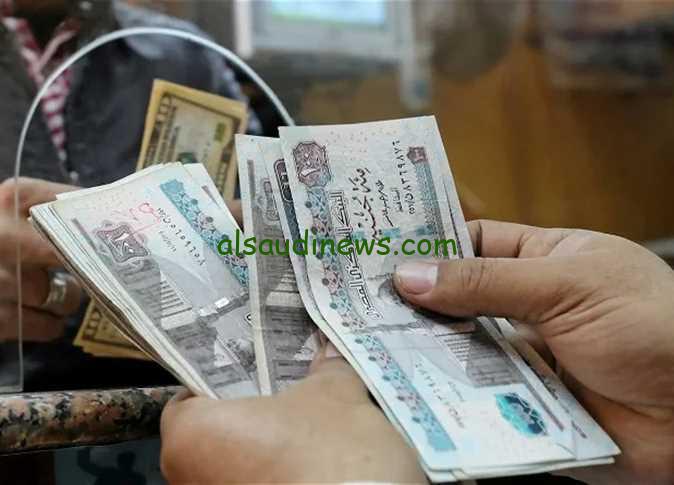 مصطفى مدبولي يوضح حقيقة زيادة مرتبات شهر اكتوبر 2024 وموعد صرف المرتبات لجميع موظفي القطاع العام