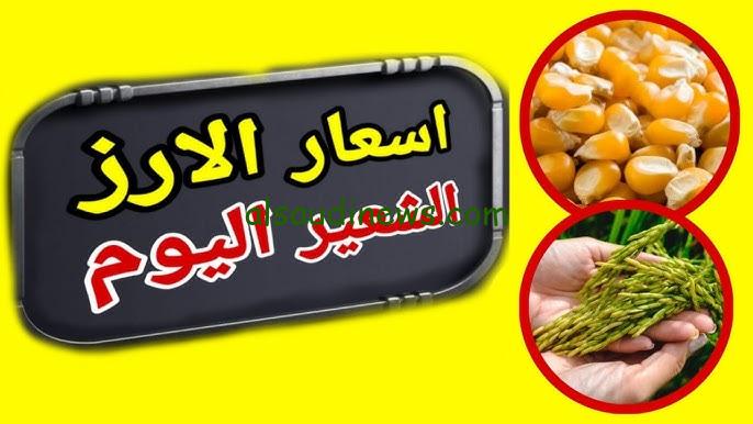 يا تري هيوصل لكام؟ .. سعر الأرز الشعير اليوم الخميس 26 سبتمبر 2024 في الأسواق المحلية للمستهلك وللتجار