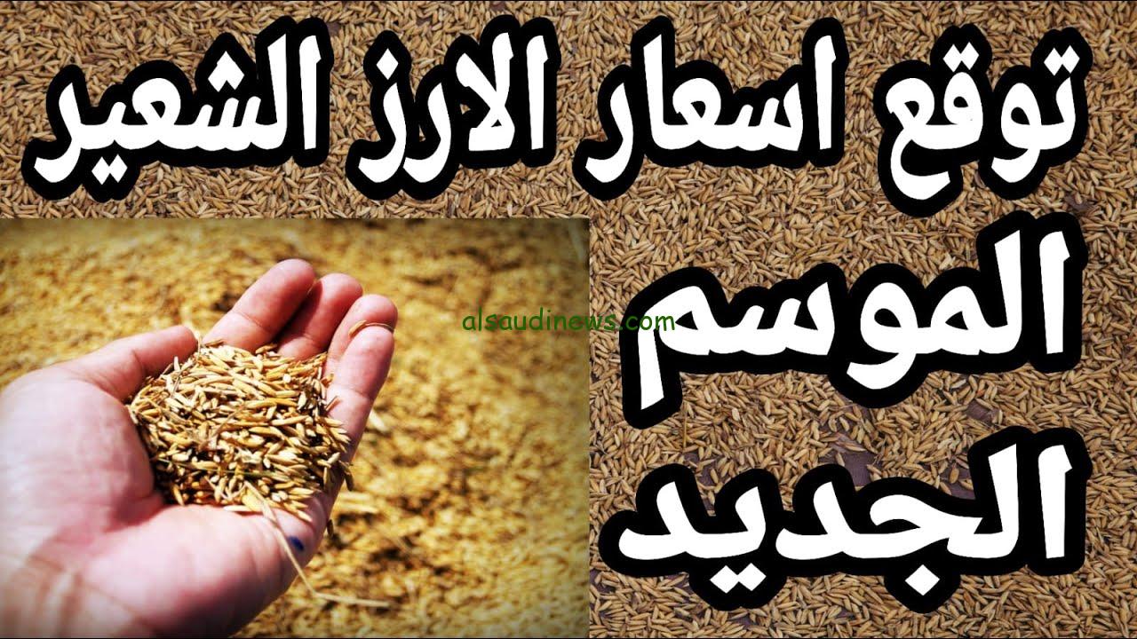 الطن علي كام ؟ .. سعر الأرز الشعير اليوم الأربعاء 18سبتمبر 2024 في الأسواق المحلية