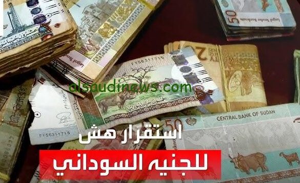 ” الجنيه السوداني بكام ” سعر الجنية السوداني مقابل الجنية المصري اليوم الأحد 22-9-2024 والعملات الأجنبية