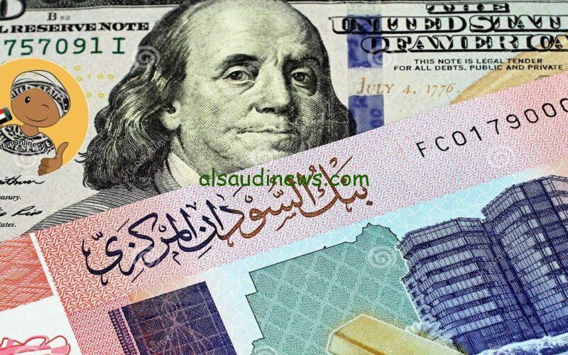 الجنيه السوداني ينهار.. سعر الجنية السوداني في السوق السوداء اليوم السبت 28 سبتمبر 2024