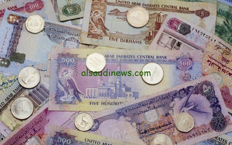 “اعرف الـ100 درهم بكام” سعر الدرهم الاماراتي اليوم الاحد 15 سبتمبر 2024 في البنوك المصرية