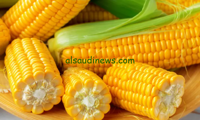 “الاردب بكام” سعر طن الذرة الصفراء اليوم السبت 21 سبتمبر 2024 في الأسواق