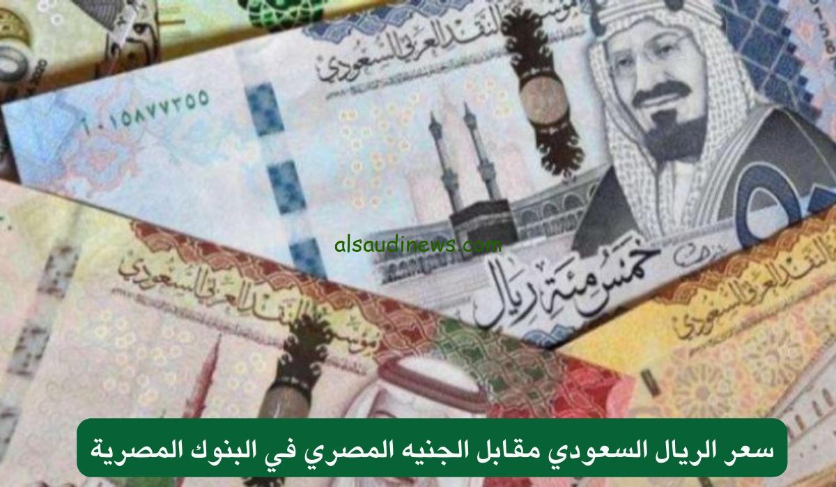 الريال عامل كم في البنك اليوم؟.. سعر الريال السعودي اليوم مقابل الجنية المصري فى البنوك والسوق السوداء