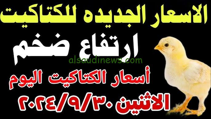 الكتكوت وصل كام ؟.. سعر الكتكوت الأبيض اليوم الاثنين 30 سبتمبر 2024 في بورصة الدواجن