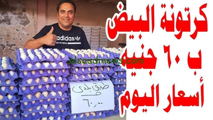 كم سعر طبق البيض اليوم؟ .. سعر طبق البيض اليوم الاربعاء 4 سبتمبر 2024 في جميع الاسواق