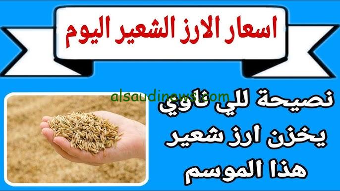 العريض والرفيع .. سعر طن الأرز الشعير اليوم الثلاثاء 3 سبتمبر 2024 في الاسواق ” الكيلو وصل 30 جنية “