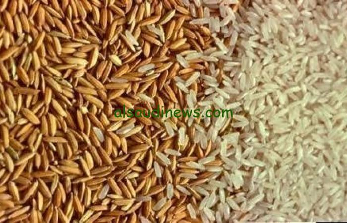 ” كم سعر كيلو الأرز ” .. سعر طن الأرز الشعير اليوم الجمعة 20 سبتمبر 2024 في الاسواق المحلية للمستهلك وللتجار