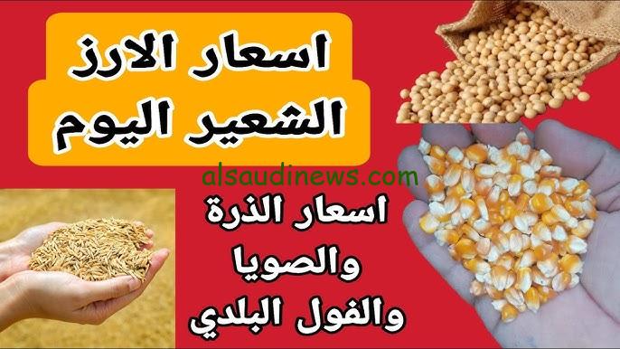 ” بكام الأرز النهارده؟ ” سعر طن الأرز الشعير اليوم السبت 21 سبتمبر 2024 للمستهلك في الاسواق