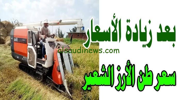ما هي أسعار الأرز اليوم؟ ..  سعر طن الأرز الشعير اليوم الخميس 26 سبتمبر 2024 في الأسواق وعند التجار