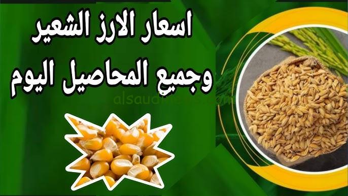 ” الرفيع والعريض ” سعر طن الأرز الشعير اليوم الأربعاء 4 سبتمبر 2024 في الأسواق بعد ارتفاع الأسعار