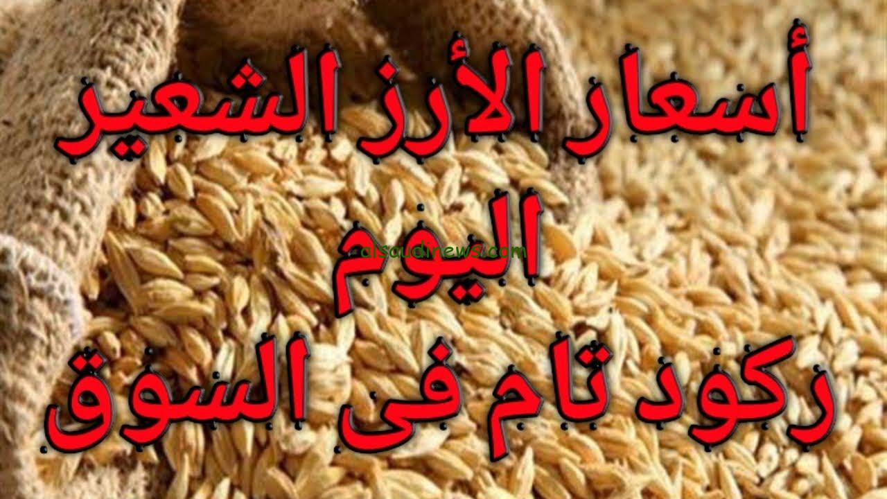 عريض ورفيع الحبة… سعر طن الأرز الشعير اليوم الاحد 8/9/2024 في الأسواق المحلية مع بداية التعاملات الصباحية