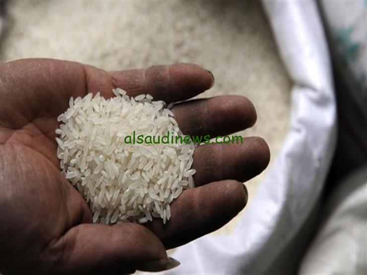 ما هي أسعار الأرز اليوم؟ .. سعر طن الأرز الشعير اليوم الأحد 15 سبتمبر 2024 عند التاجر والأسواق