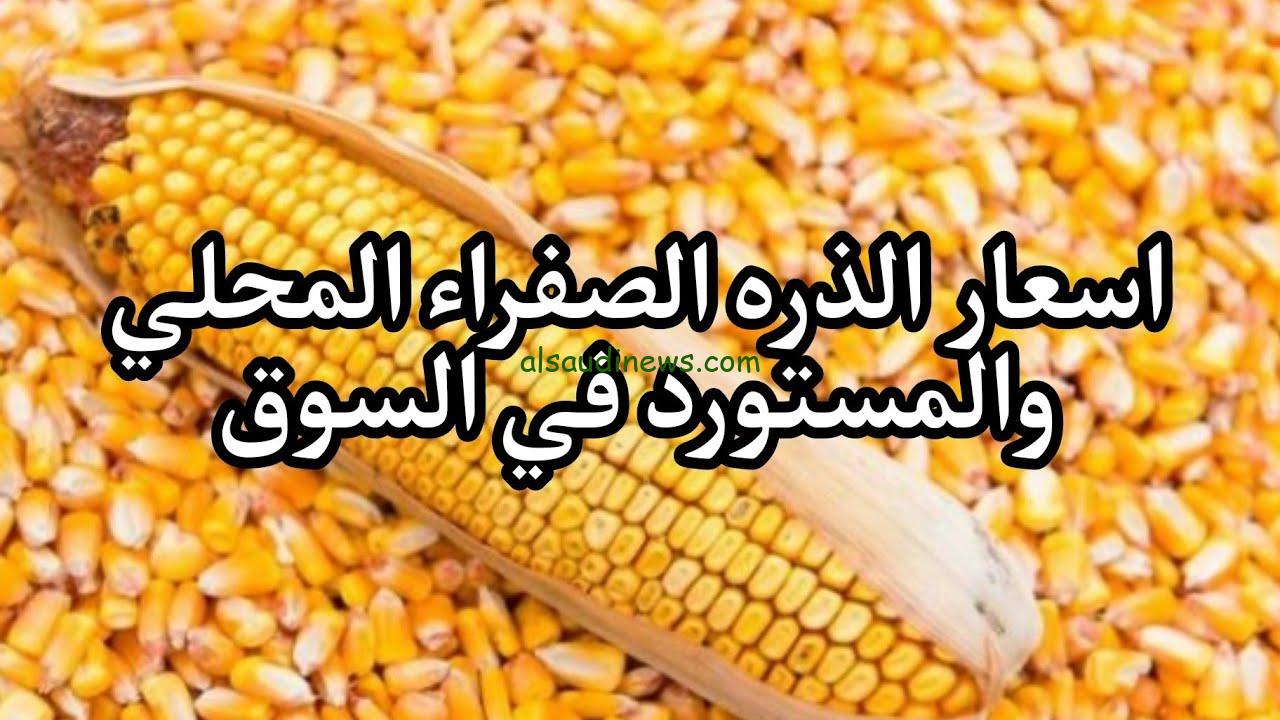 بكام انهادرة.. سعر طن الذرة الصفراء اليوم الاثنين 9 سبتمبر 2024 في الأسواق وأسعار الاعلاف